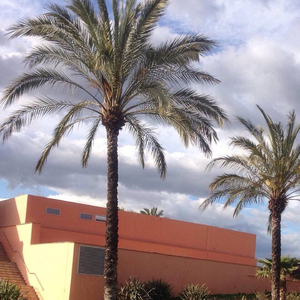 肌肉猛男裸体GAY网站
