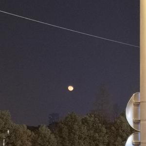 肌肉猛男裸体GAY网站
